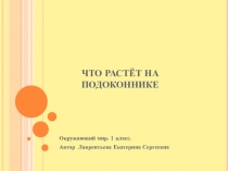 Презентация по Окружающему миру. Тема Что растёт у нас на подоконнике (1 класс)