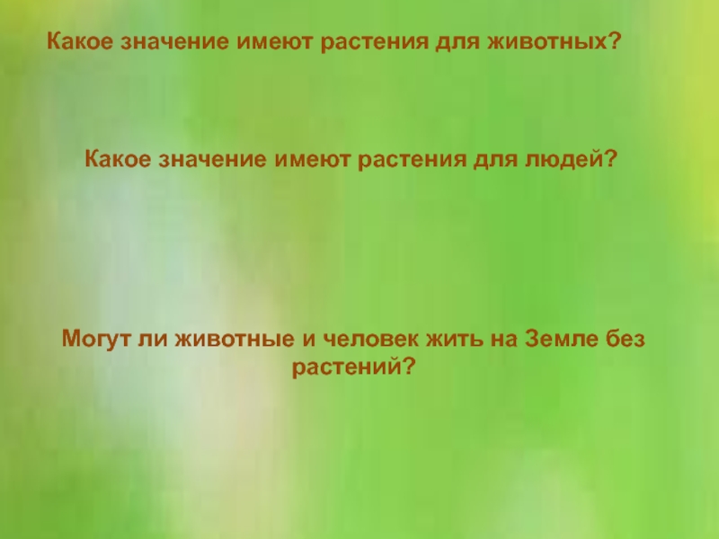 Все растения имеют. Какое значение имеют растения. Какое значение имеет цветок. Какое значение имеют растения для животных. Какое значение животные имеют для растений.