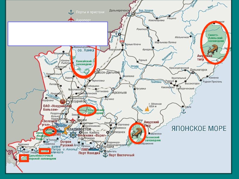 Какие заповедники на территории приморского края. Заповедники Приморского края на карте. Заповедники Приморья на карте. Национальные парки Приморья на карте. Заказник в Приморском крае.