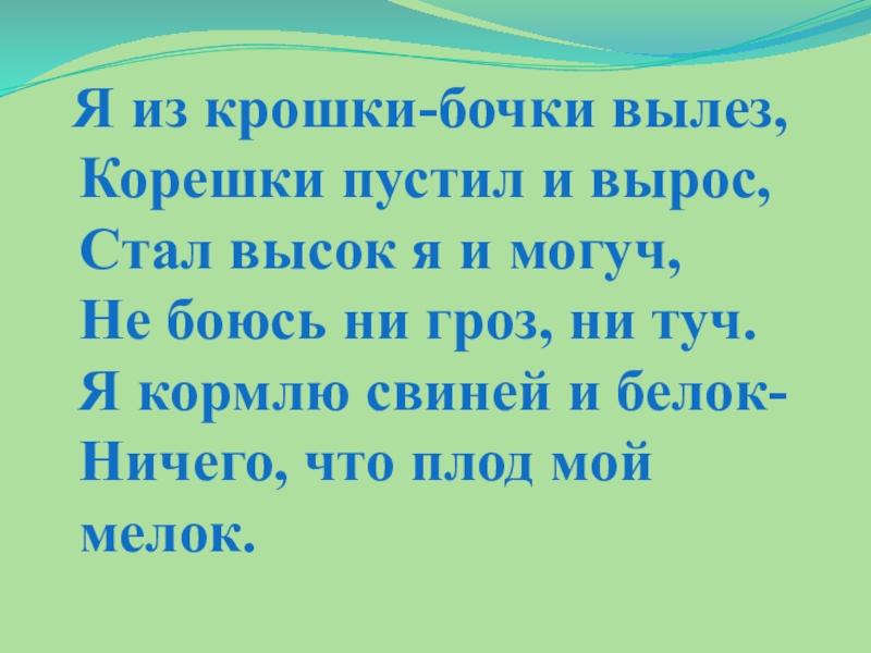 Выросли стали. Я из крошки бочки вылез корешки пустил и вырос. Загадка и высок я и могуч не боюсь ни гроз ни. Он из крошки - бочки вылез корешки пустил и вырос стал высокая и могуч. Я из крошки бочки.