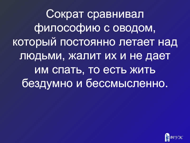 Какие люди над ним. Овод Сократа. Сократ сравнивал себя с оводом. Почему Сократ Овод. Почему Сократ называл себя оводом.