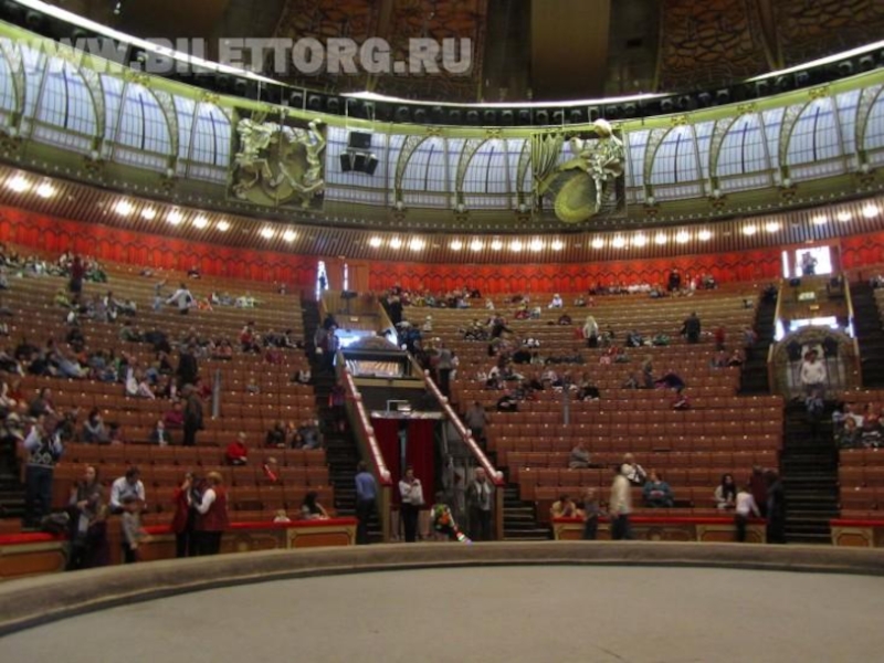 Фото зала на вернадском. Цирк на Вернадского зал. План зала цирка на Вернадского. Цирк на Вернадского зал схема. Цирк на Вернадского схема зала.