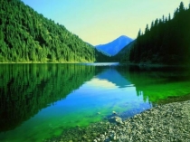 Природа дар бесценный. 8 класс