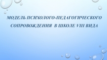 Презентация Модель психолого-педагогического сопровождения в школе VIII вида