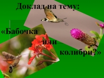 Презентация по окружающему миру