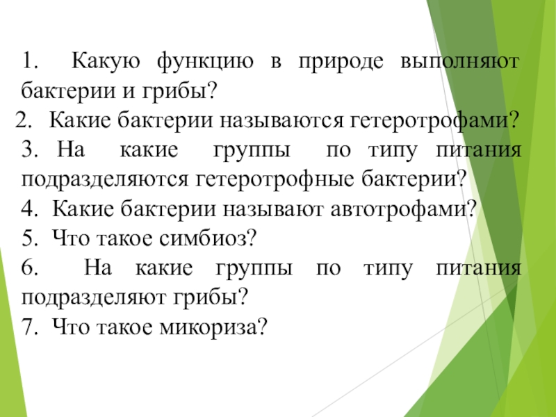 Грибы выполняют функцию. Какую функцию выполняют грибы. Какую функцию выполняют грибы в природе. Какую роль выполняют грибы в природе. Функции грибов в природе.