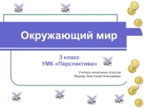 Презентация к уроку окружающего мира на тему: Знакомство с понятием семейный бюджет(3 класс)