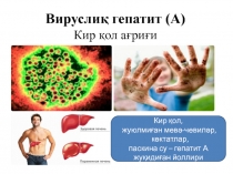 Вирусный гепатит