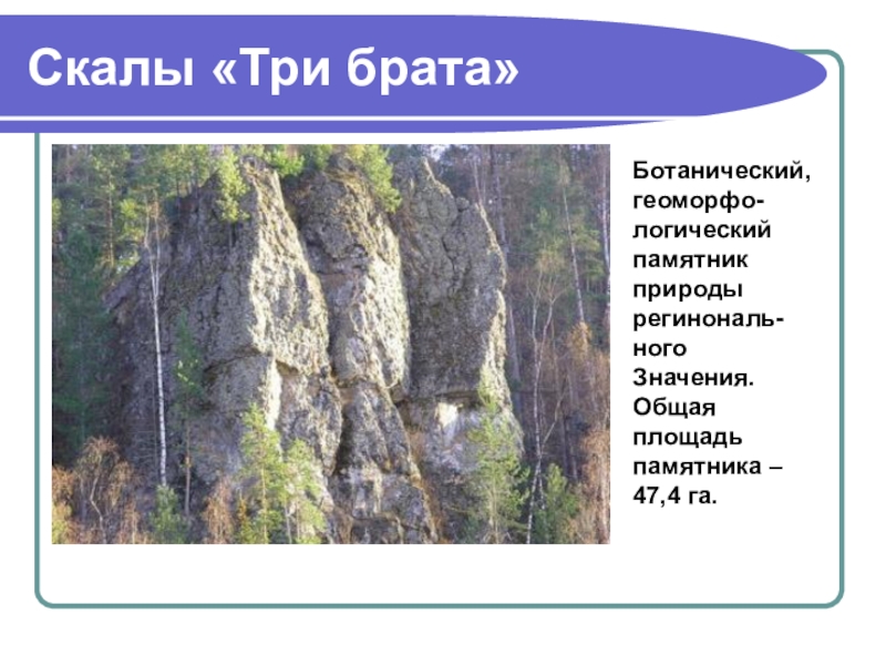 Реферат: Ботанические памятники Свердловской области