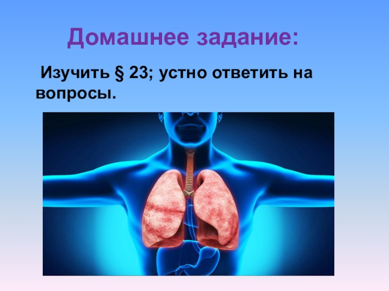 Заболевания биология 8 класс. Дыхание по биологии 8 класс. Органы дыхательной системы биология 8 класс. Презентация значение дыхания органы дыхательной системы 8 класс. Значение дыхания органы дыхания 8 класс конспект урока.