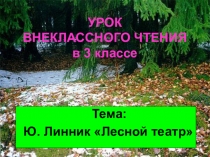 Урок внеклассного чтения Ю. Линник