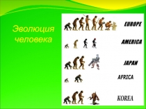 Презентация по биологии на тему Эволюция