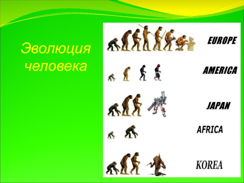 Презентация по биологии на тему Эволюция