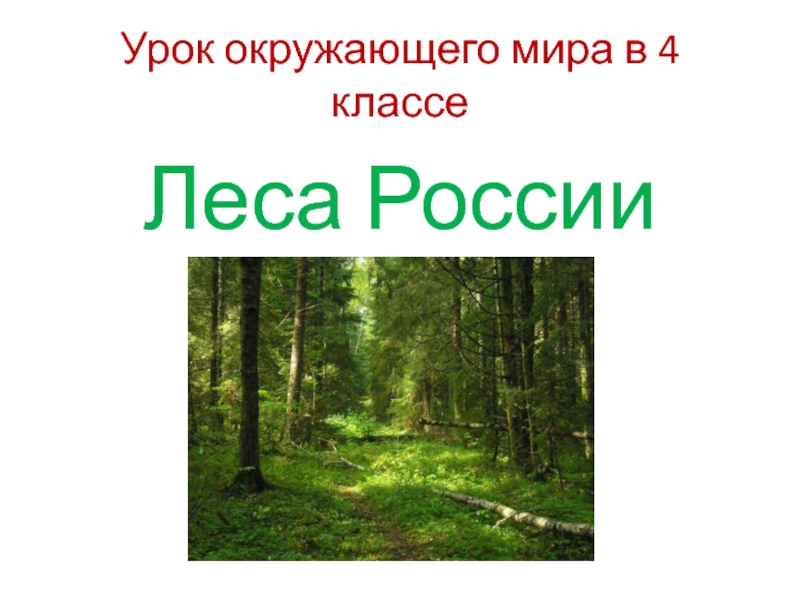 Окружающий мир 4 класс лес и человек презентация