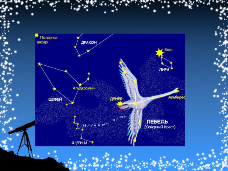 Созвездие лебедя картинки