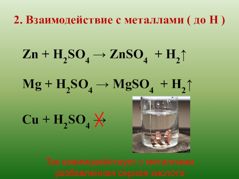 Zn h2so4 концентрированная. Взаимодействие металлов до н. Взаимодействие серной кислоты с металлами. Znso4+h2. ZN+h2so4.