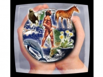 Презентация к уроку биология 9 класс Законы Менделя