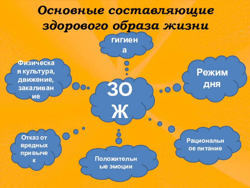 Здоров 5. Основные составляющие здорового образа жизни. Основные составляющие здорового образа жизни (ЗОЖ). Основные составляющие здорового образа. Перечислите составляющие ЗОЖ.