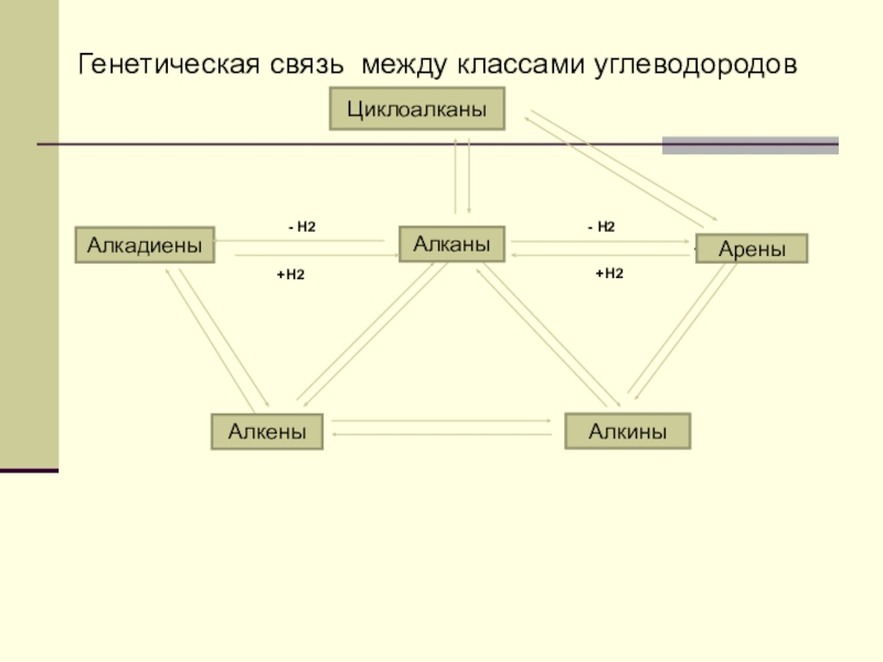 Схема генетической связи