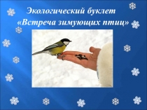 Презентация по кубановедению Зимующие птицы