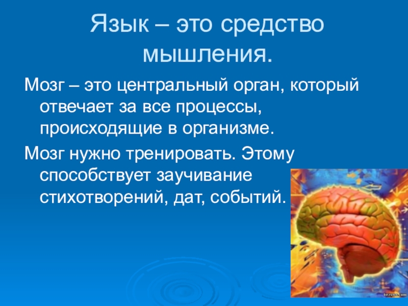 Средство мысли. Соединение языка и мозга. Язык и мозг взаимосвязь. Язык средство мышления. Язык не связан с мозгом.