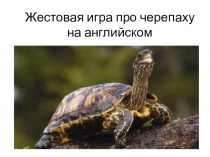 Презентация по английскому языку Жестовая игра про черепаху  (3 класс)