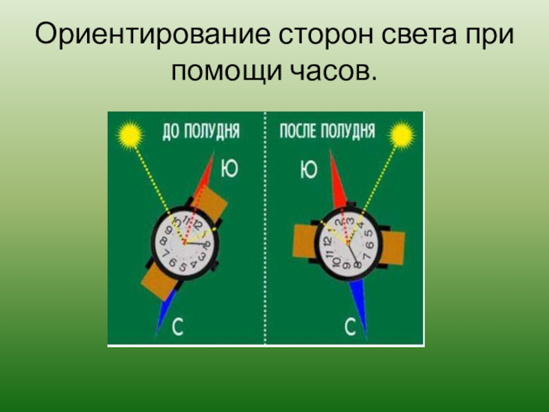 Часы определяют местоположение. Ориентирование по солнцу по часам. Определение сторон света. Способы ориентирования по часам. Ориентирование с помощью часов и солнца.
