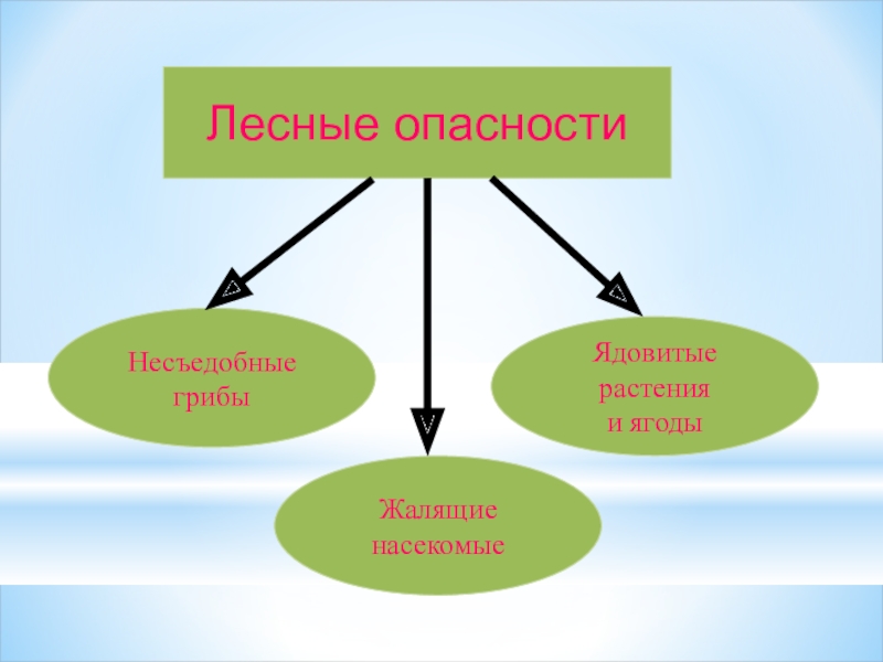 Презентация на воде и в лесу