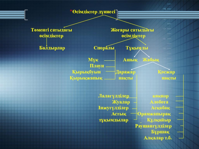 Өсімдіктер мен жануарлардың адам өміріндегі рөлі презентация