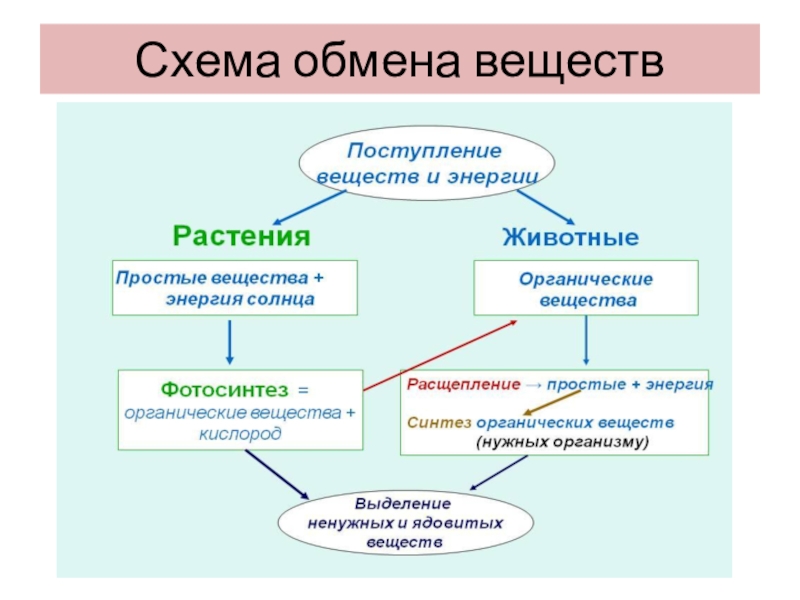 Обмен энергии схема