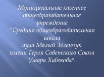 Обобщение и распространение инновационного опыта педагога-библиотекаря