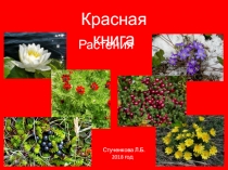 Презентация по окружающему миру на тему Красная книга Нижегородской области. Растения (2 класс)