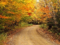 Наши помощники - органы чувств