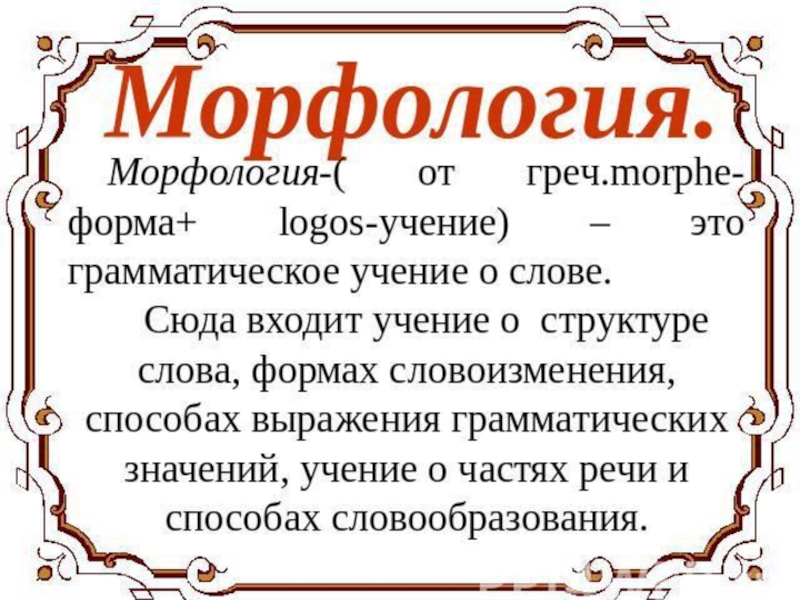 Что значит слово сюда. Морфология. Морфология это в русском языке. Понятие о морфологии. Морфология по русскому языку.