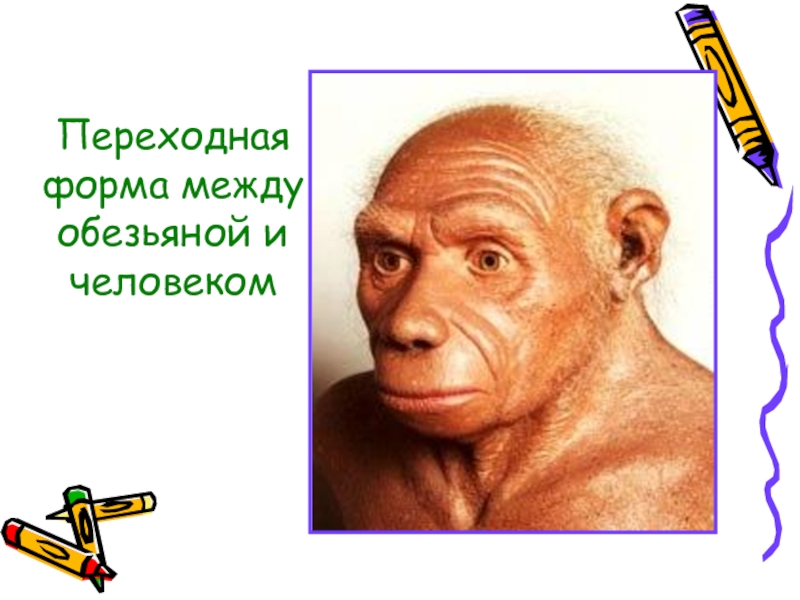 эволюция дарвин хомо эректус. между человеком и обезьяной. переходная форма от обезьяны к человеку. эволюция обезьяны в человека. эволюция дарвина хомо сапиенс.