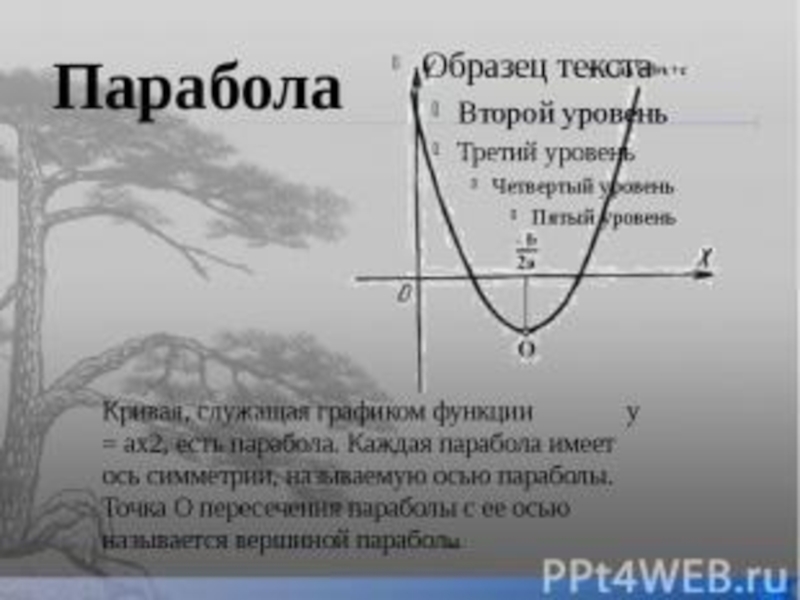 Слова из букв парабола. Кривая Графика параболы. Что такое парабола в алгебре. Парабола дерево. График кривых парабола.