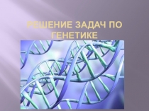 Решение задач по генетике(10 класс)