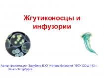 Презентация по биологии на тему жгутиковые (7класс)