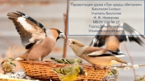 Презентация к уроку Три среды обитания2