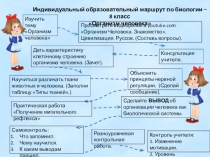 Презентация Индивидуальный маршрут ученика 8 класса по биологии.