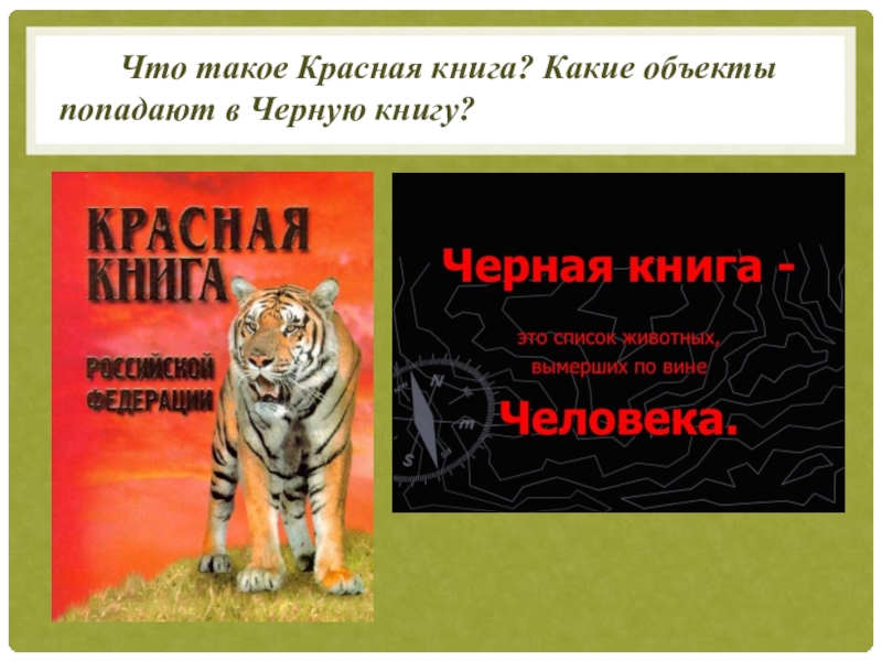 Однкнр 5 класс бережное отношение к природе презентация 5 класс однкнр