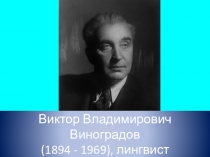 Презентация по русскому языку на тему Имя прилагательное