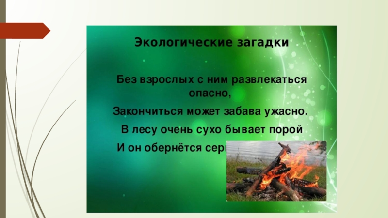 Экологический ответ. Экологические загадки. Загадки про экологию. Загадки на тему экология. Экологические загадки для детей.