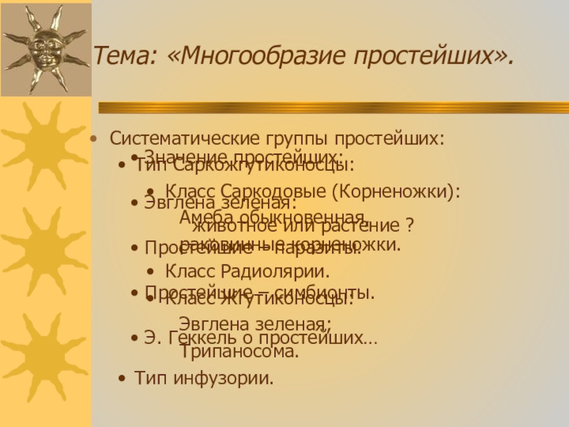 основные систематические группы простейших. систематические группы простейших. систематические группы простейших. подцарство простейшие систематика. систематические группы простейших.