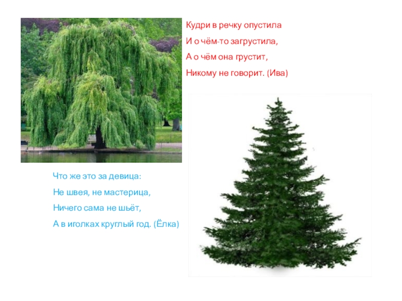 Кудри в речку опустила и о чем-то загрустила о чем она грустит никому не говорить