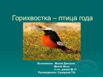Презентация по окружающему миру на тему Горихвостка - птица года