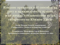 Презентация по лесному семеноводству на тему Влияние прививки и её способов на рост и приживаемость привоя и на начало плодоношения кедра сибирского на Южном Урале