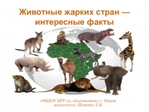 Презентация по развитию речи на тему Животные жарких стран - интересные факты