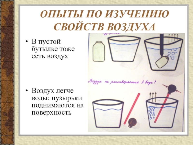 Проект по экспериментированию в старшей группе