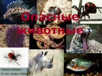 Опасные животные